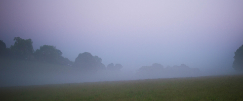Early Monring Mist photo