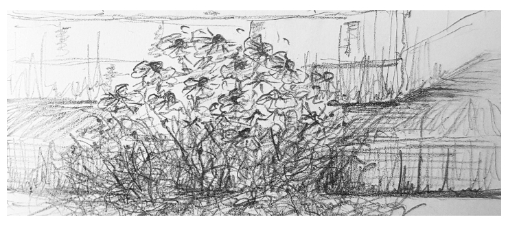Main Sketches Kerbside Flowers image