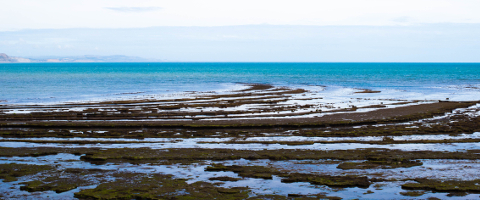 Jurassic Coast VI photo