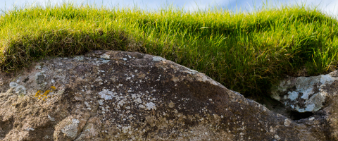 Roof - West Kennett Long Barrow photo