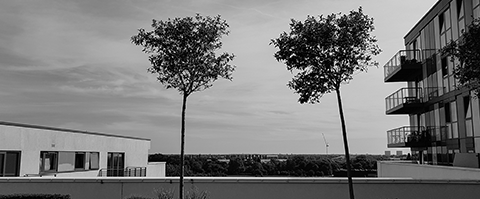 Tim's Roof - view II B+W photo