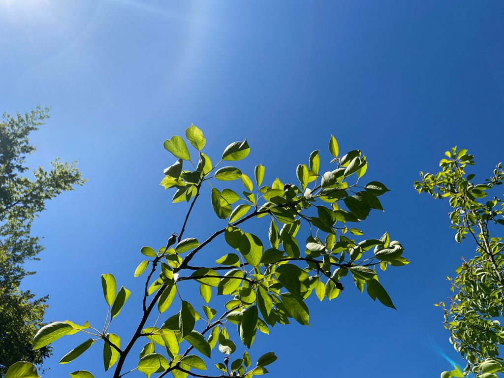 murpworks - The Tales of Silverdale - Blue Sky Day - III image