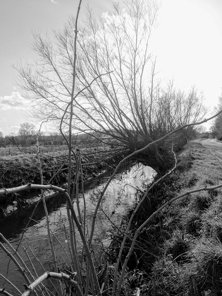 murpworks - In Search of an Abandoned Canal - canal image