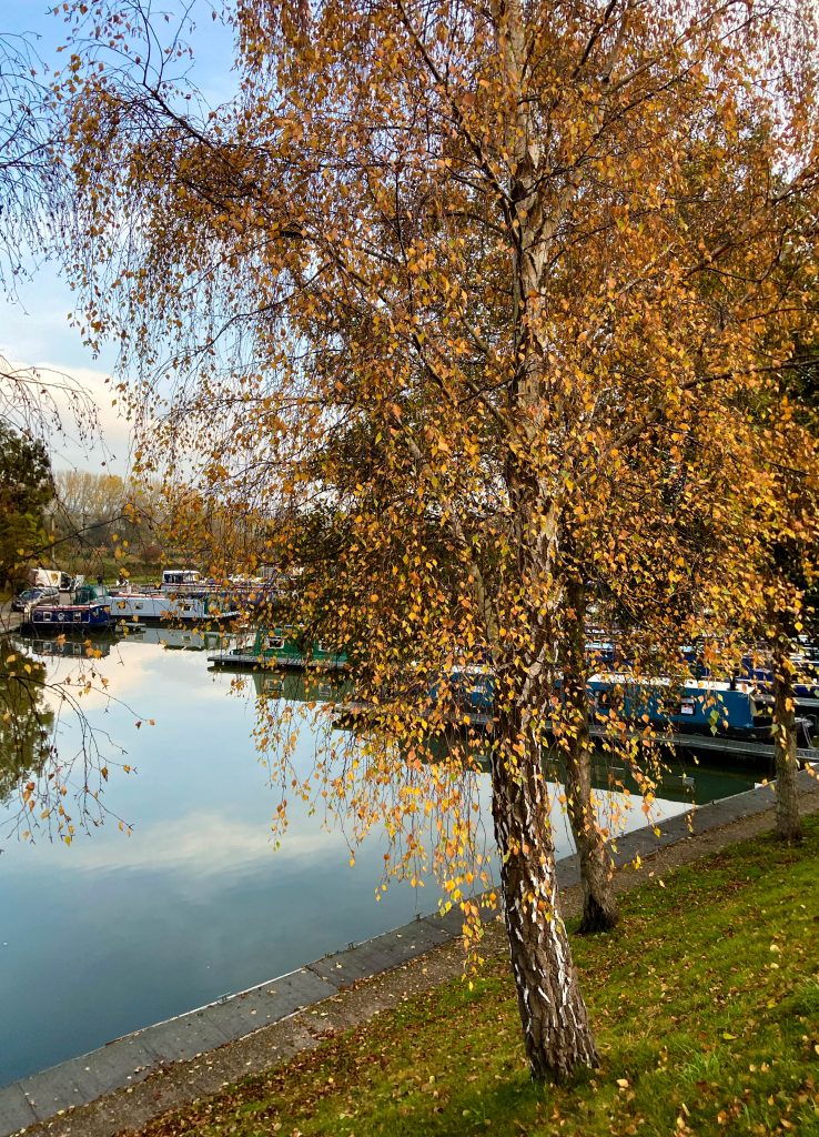 murpworks - The Tales of Silverdale - Autumn on the Marina