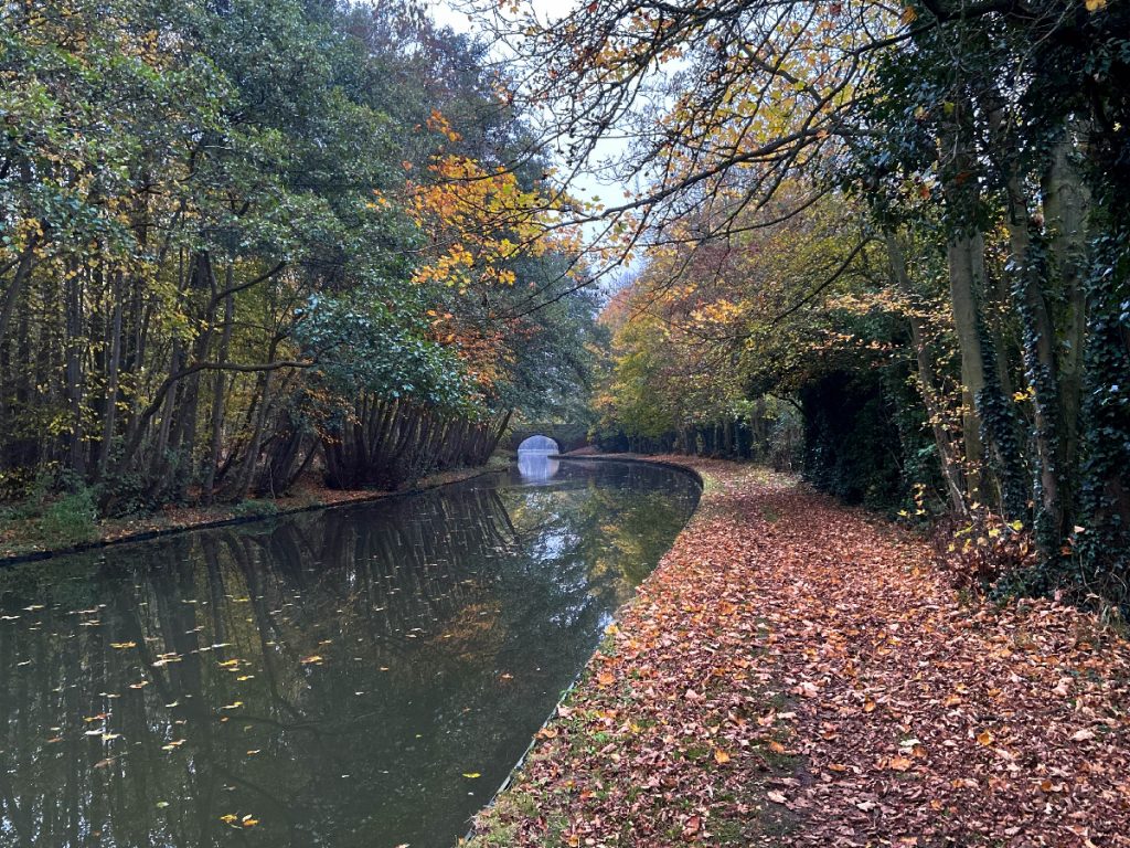 murpworks - The Tales of Silverdale - Autumn Canal - canal image 1