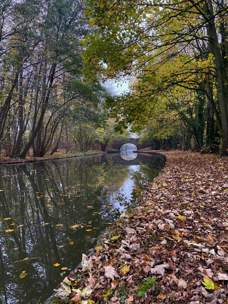 murpworks - The Tales of Silverdale - Autumn Canal - canal image 2
