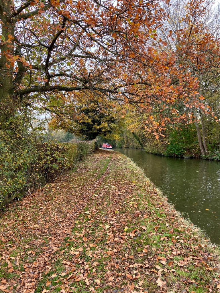 murpworks - The Tales of Silverdale - Autumn into Winter on the Canal image