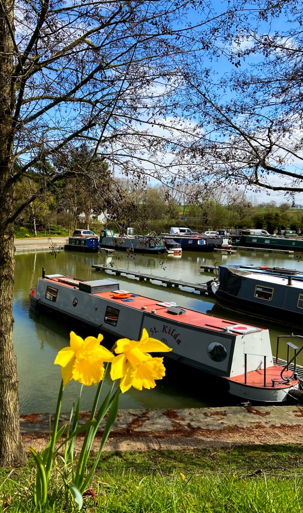 murpworks - The Tales of Silverdale - Spring 2021 - across the Marina in Spring image