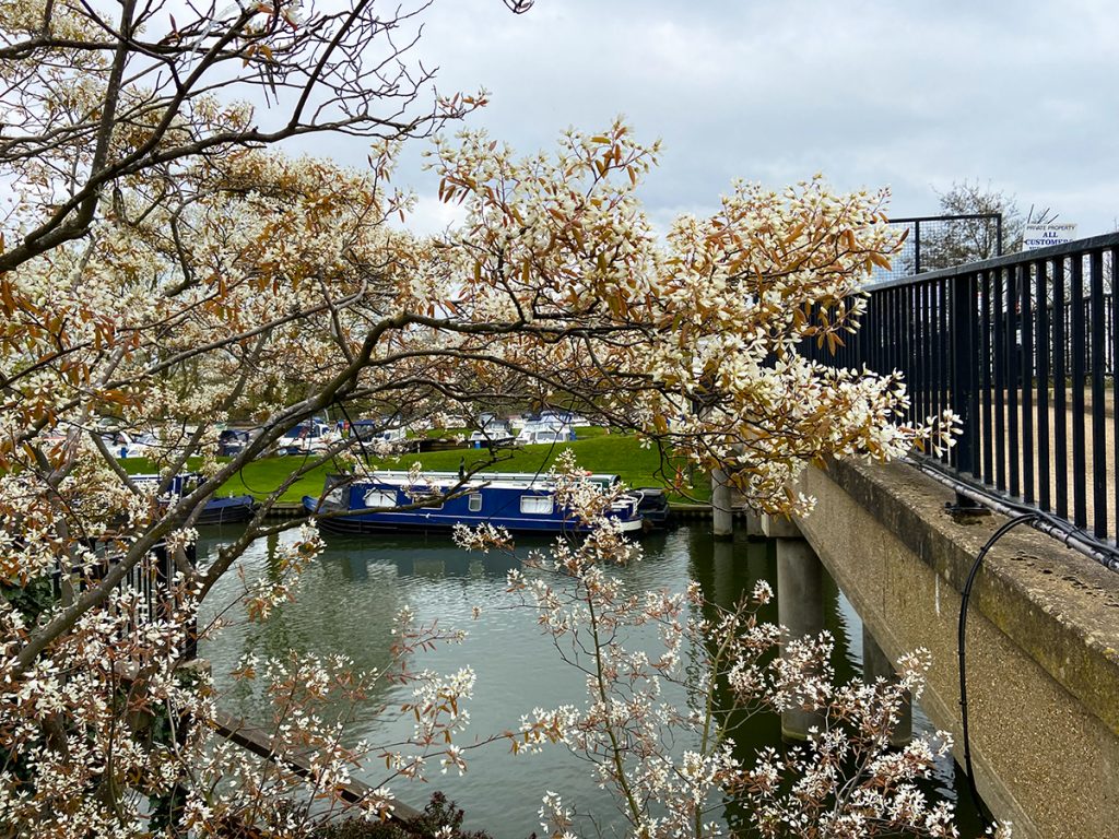 murpworks - The Tales of Silverdale - To Be Somewhere Else - Bridge over the river Great Ouse at Ely image