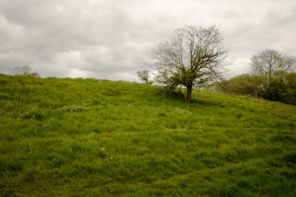 murpworks - The Tales of Silverdale - A Mooring Along the Way - Tree on a Slope image